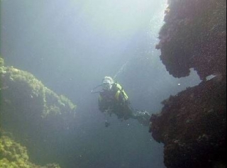 Bajo el agua.jpg